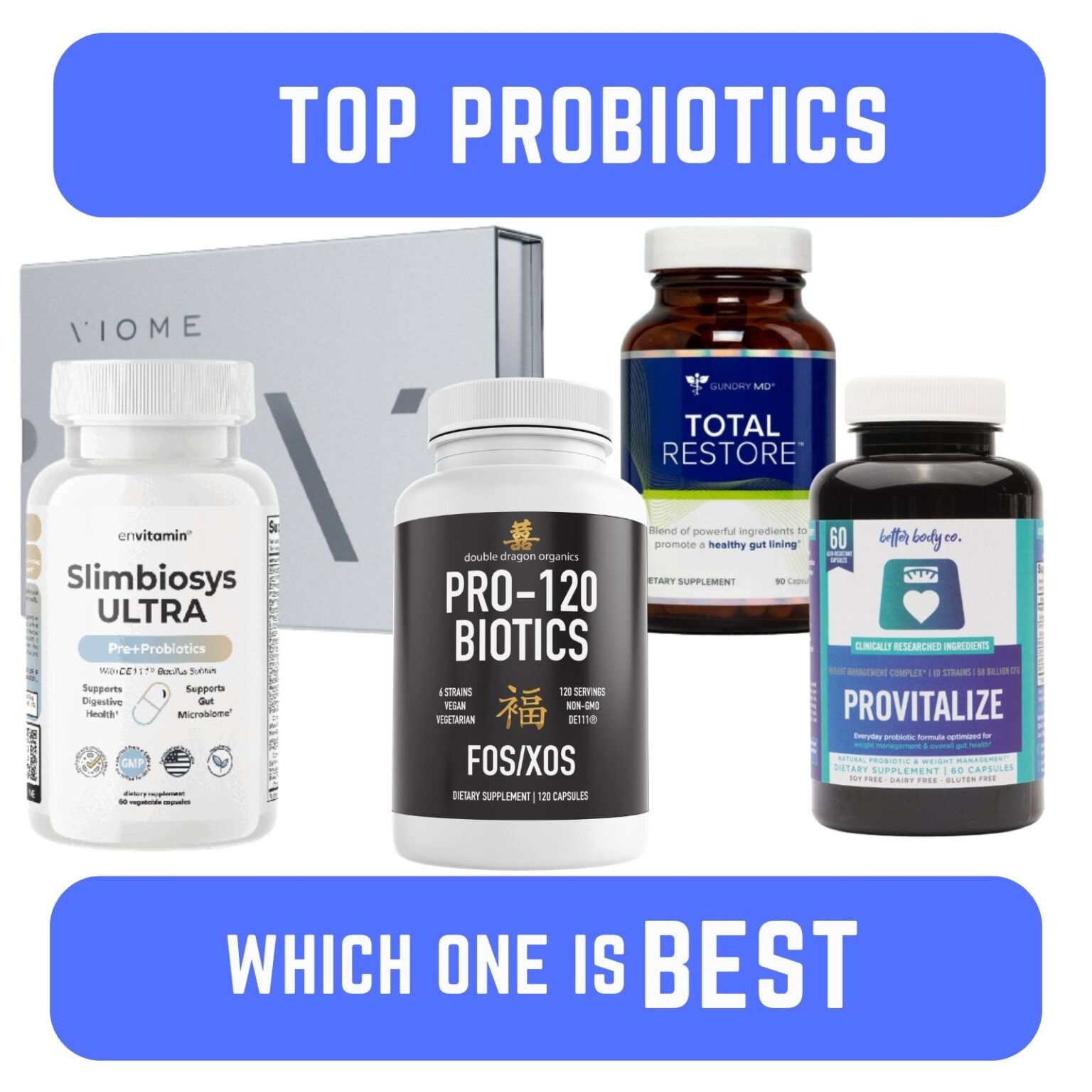 The Ultimate 5 Probiotics That Will Overhaul Your Gut Health In 2024 ...